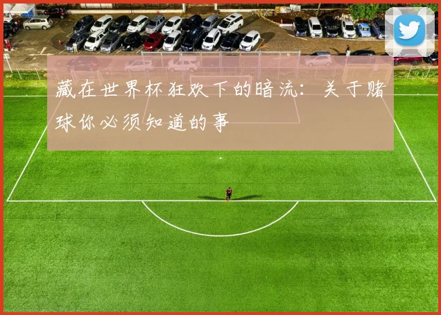 藏在世界杯狂欢下的暗流：关于赌球你必须知道的事