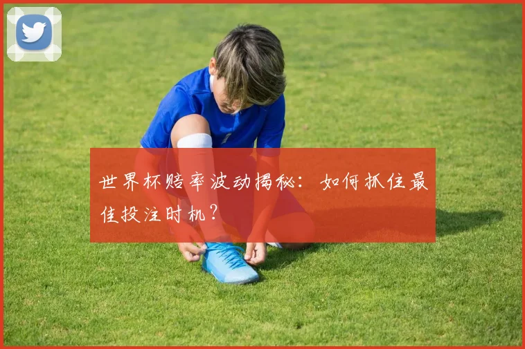世界杯赔率波动揭秘：如何抓住最佳投注时机？