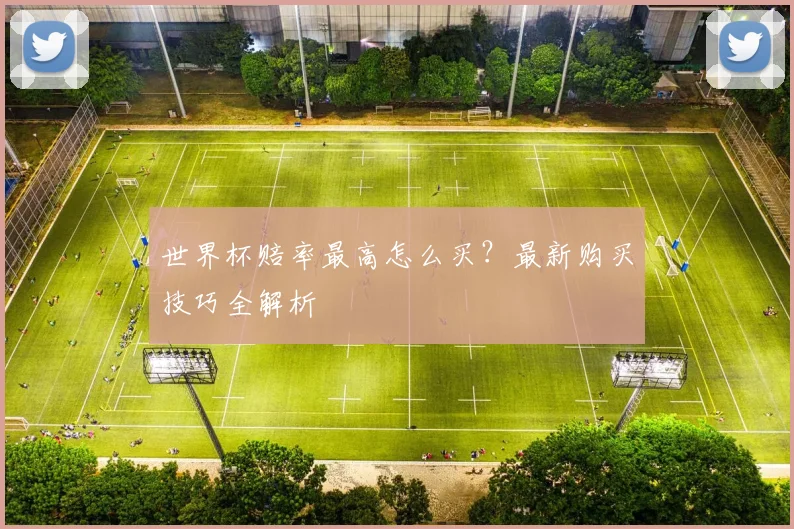 世界杯赔率最高怎么买？最新购买技巧全解析