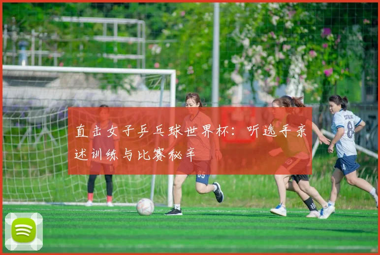 直击女子乒乓球世界杯:听选手亲述训练与比赛秘辛
